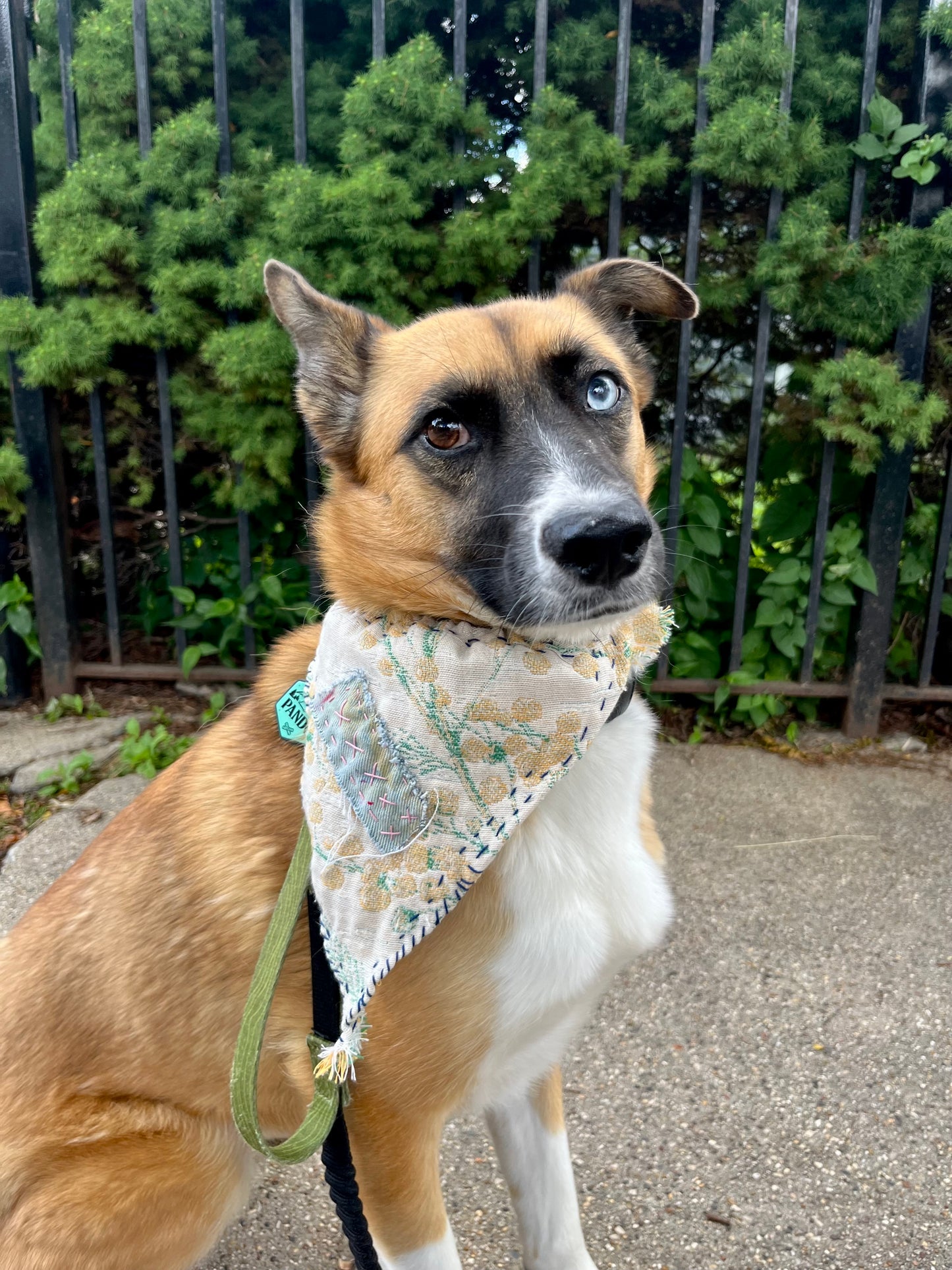 floral with denim large bandana