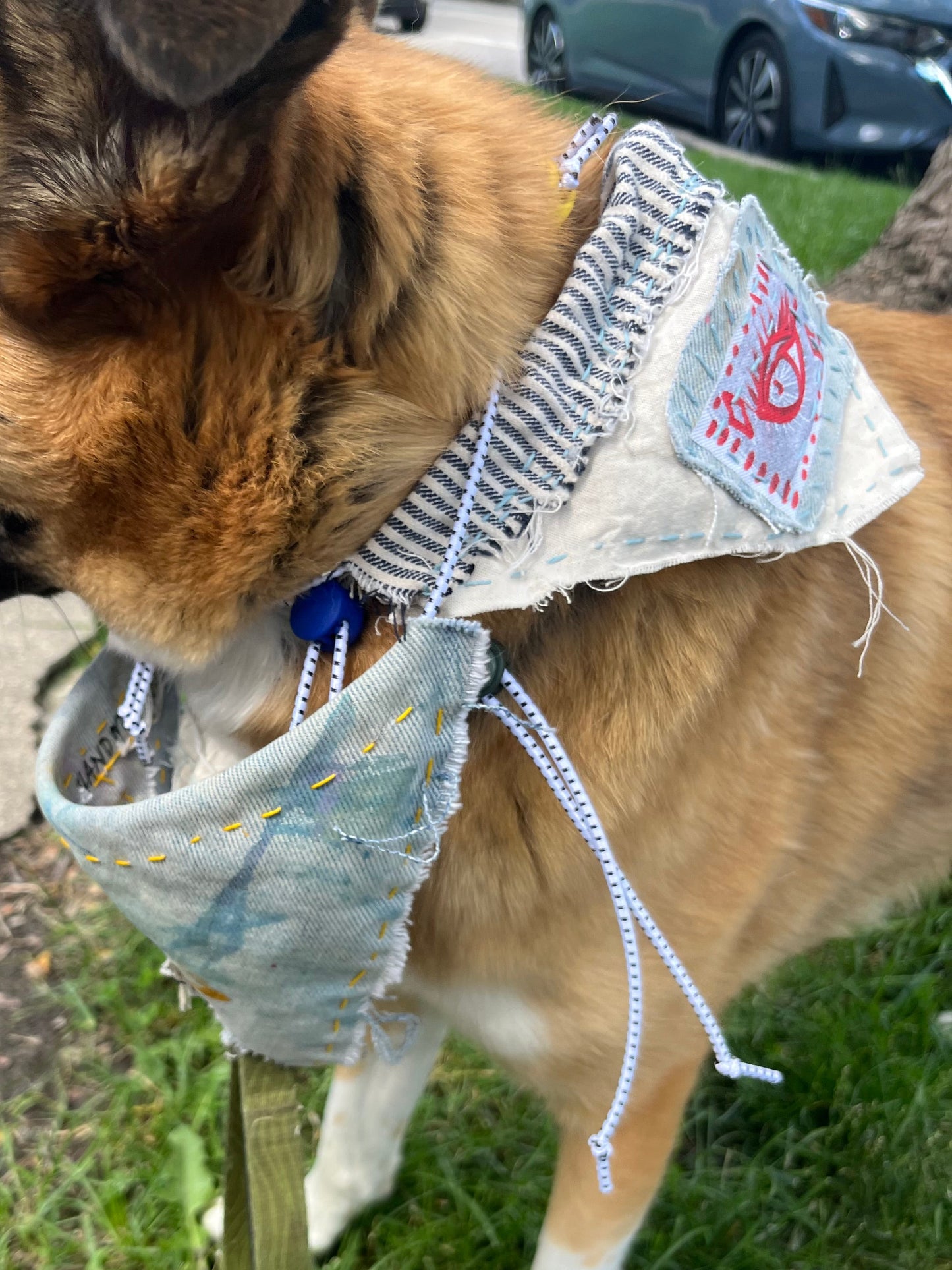 eye patch/ stripped small dog bandana