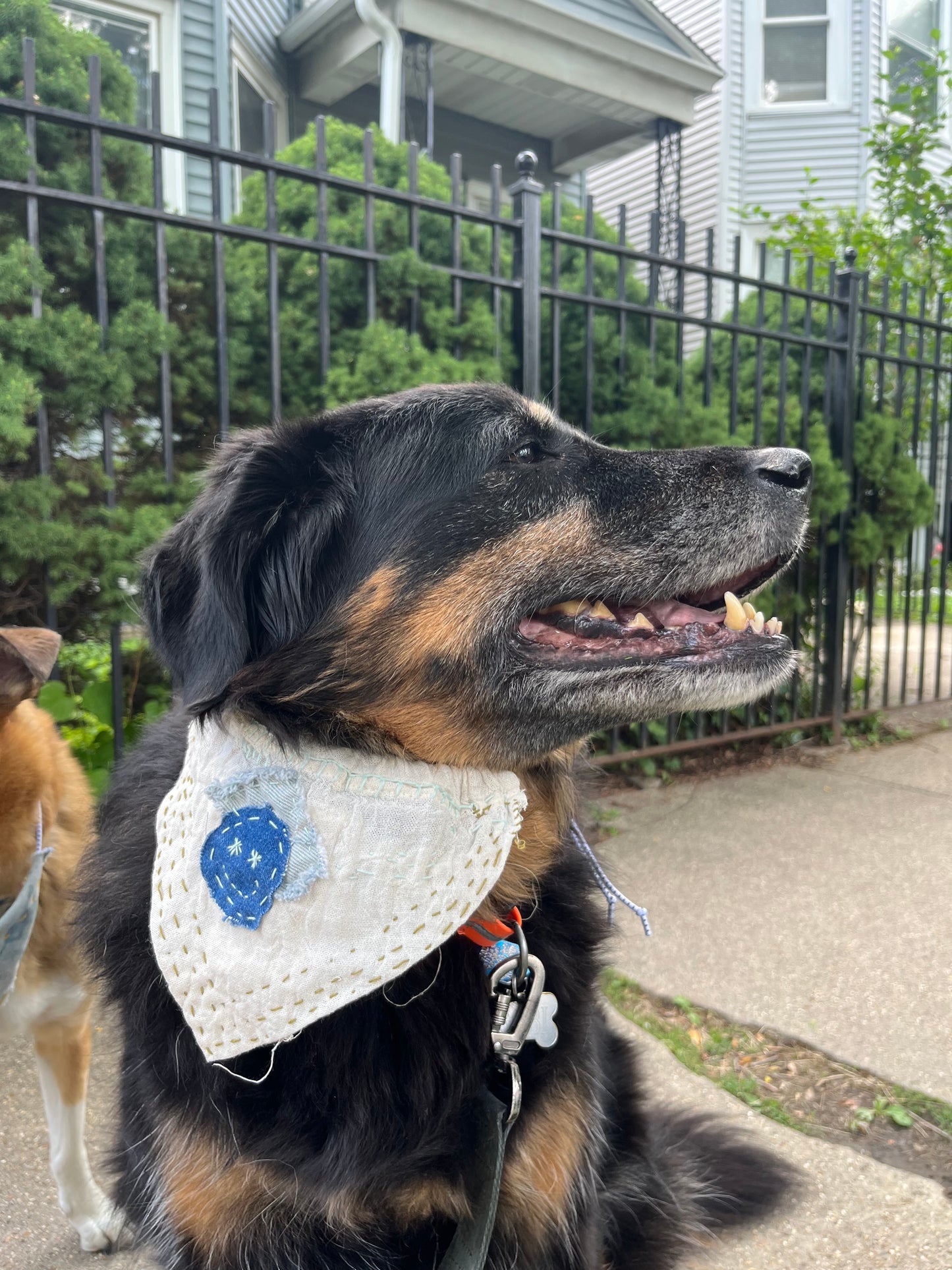 linen smiley dog bandana large
