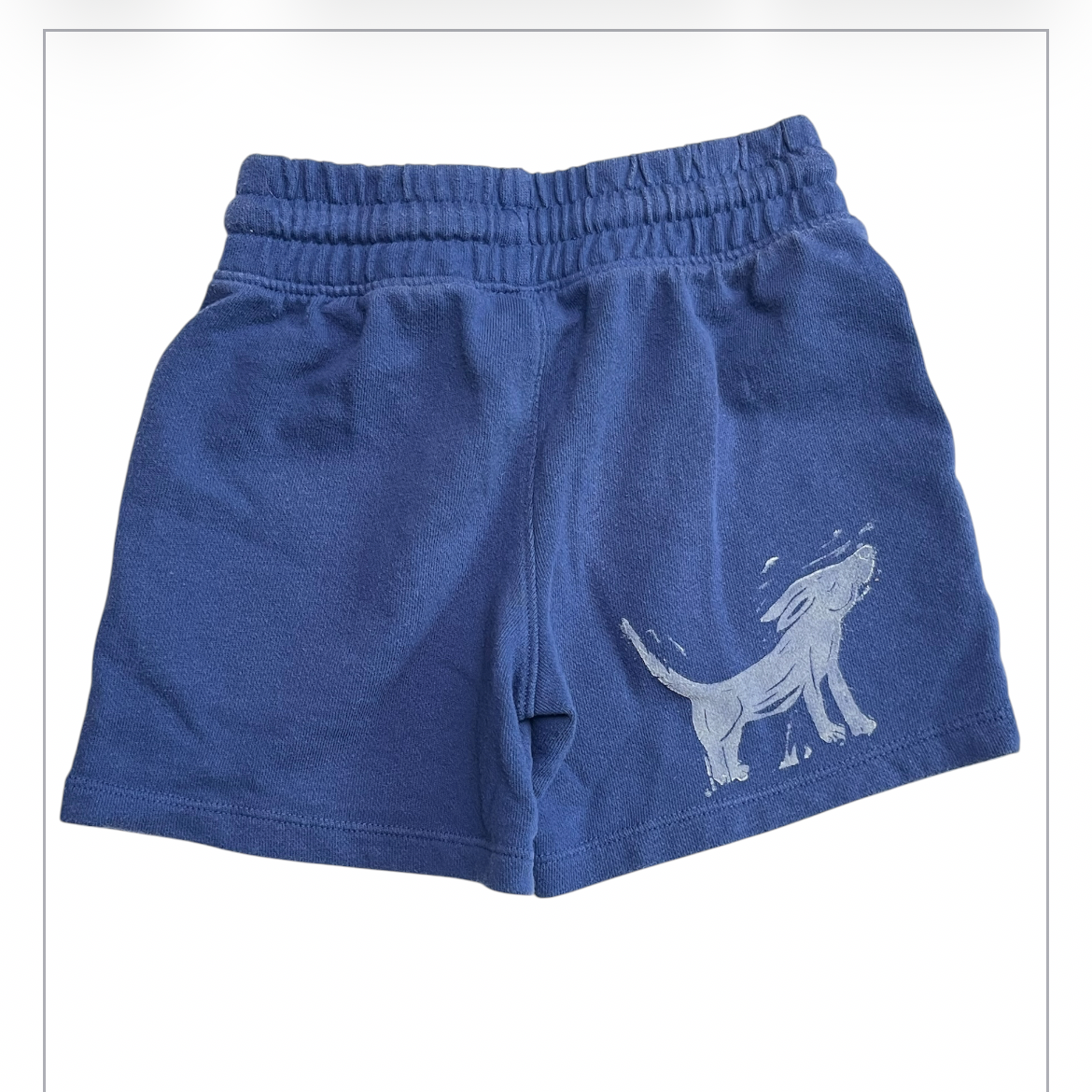 Blue bug bunny dog short