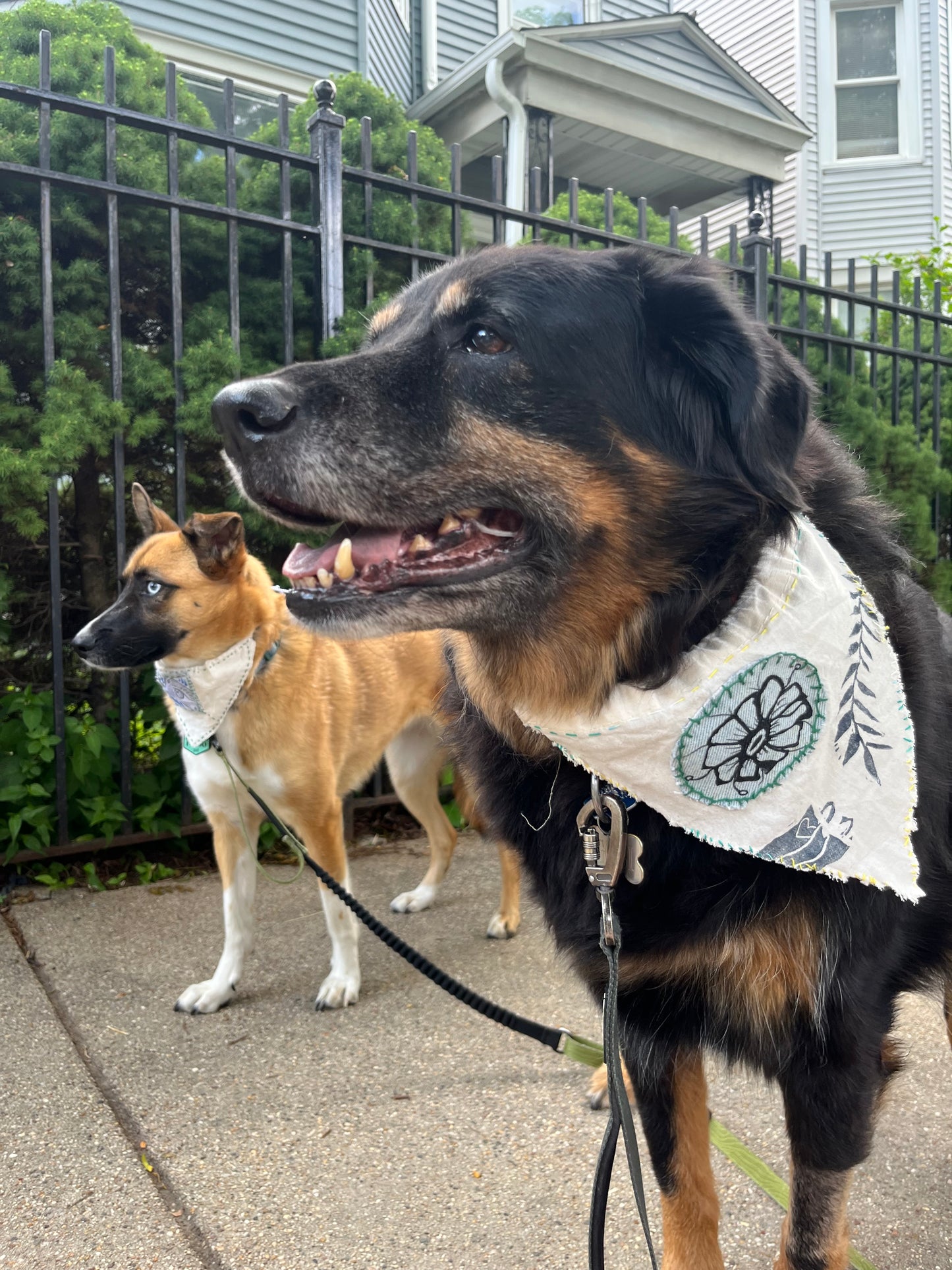 linen flower medium dog bandana