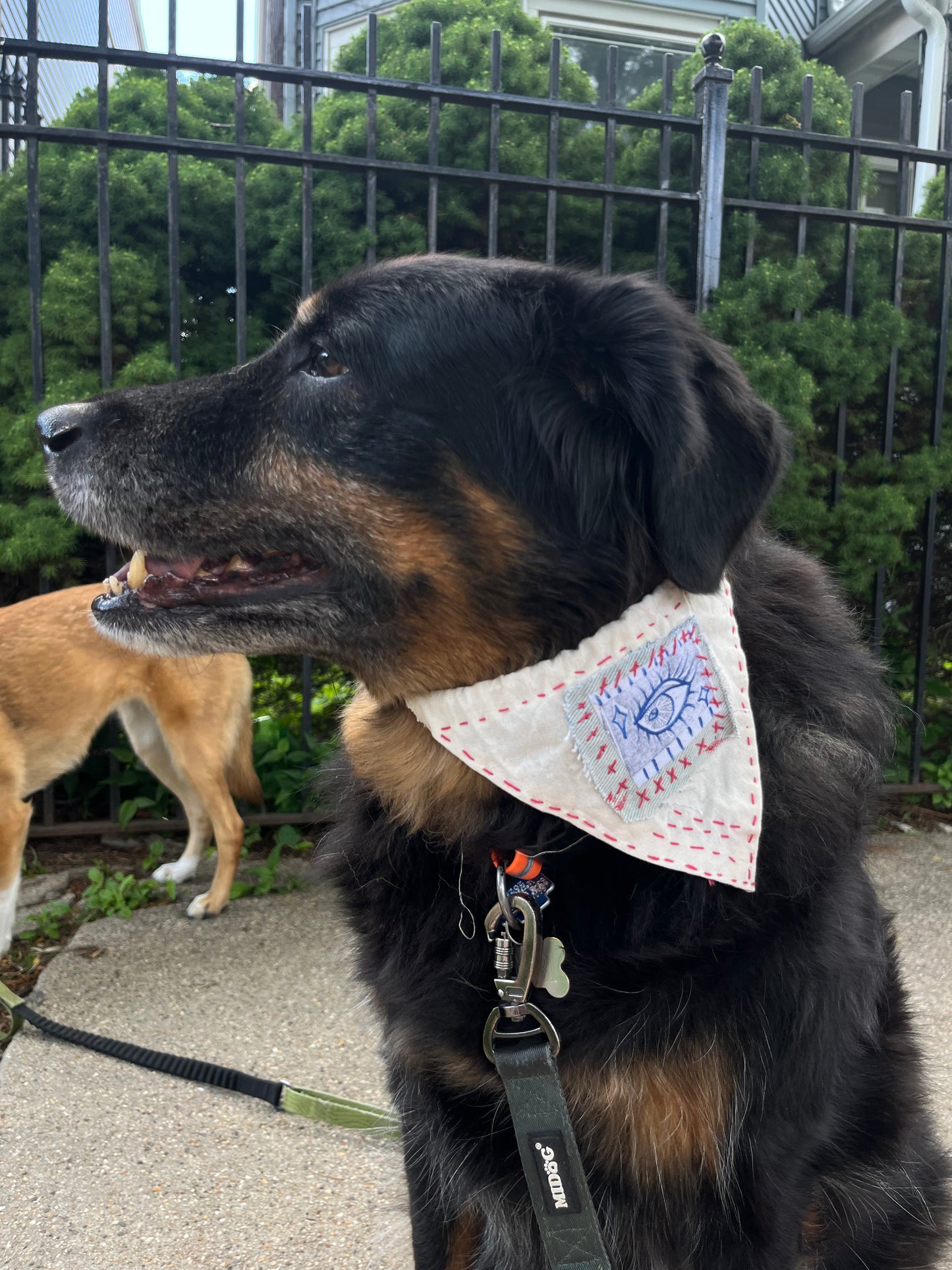 eye patch small dog bandana
