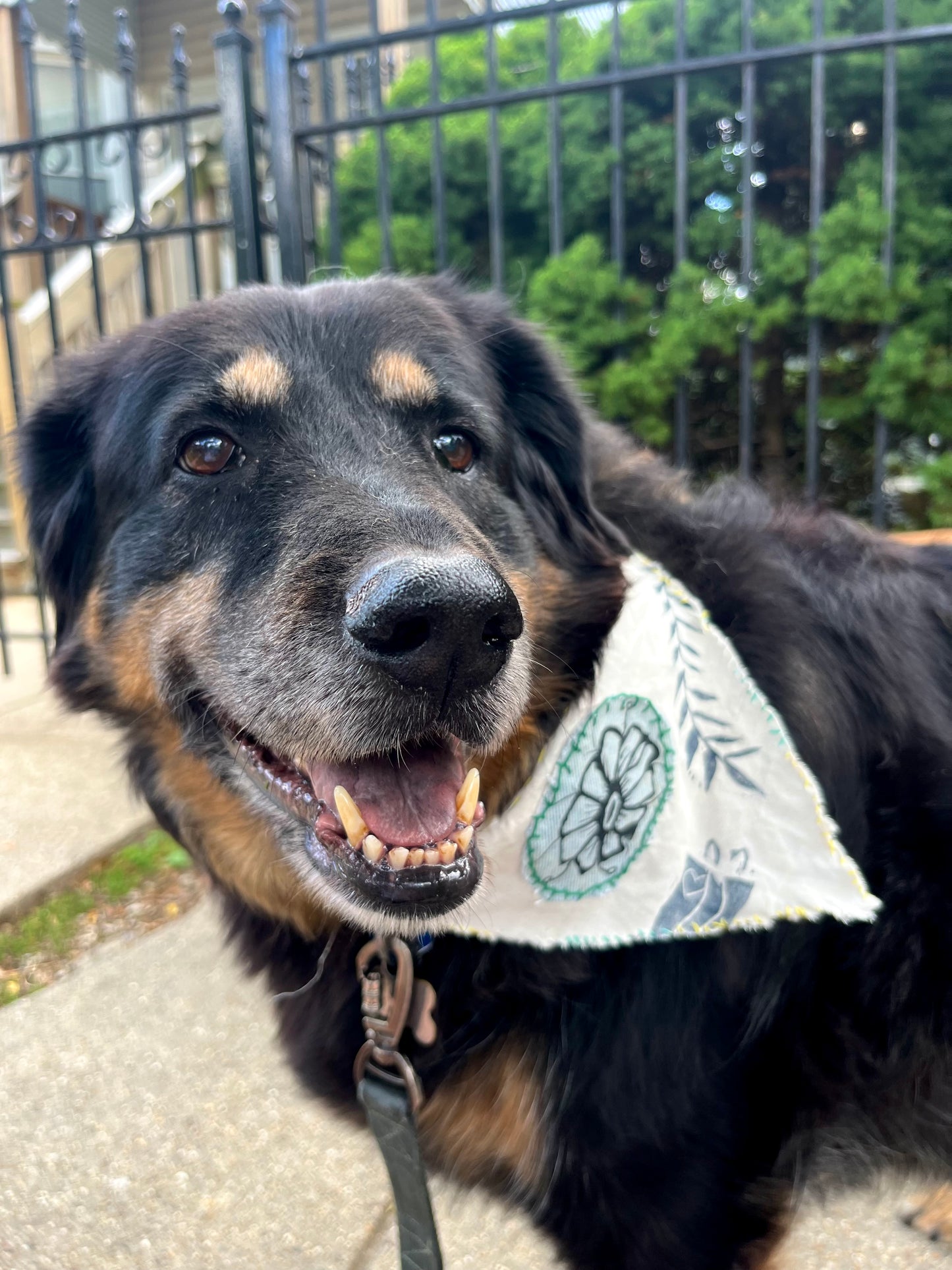 linen flower medium dog bandana