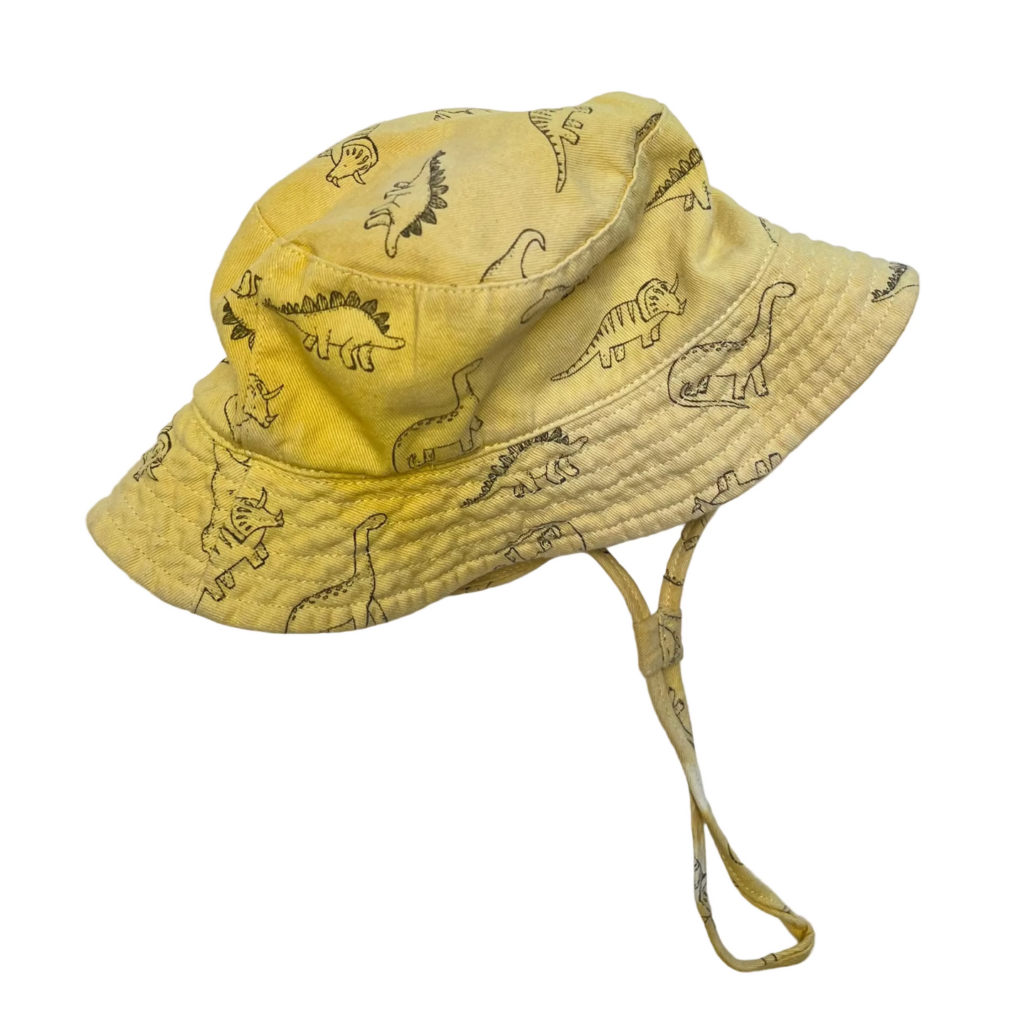 Turmeric Dinosaur Bucket Hat
